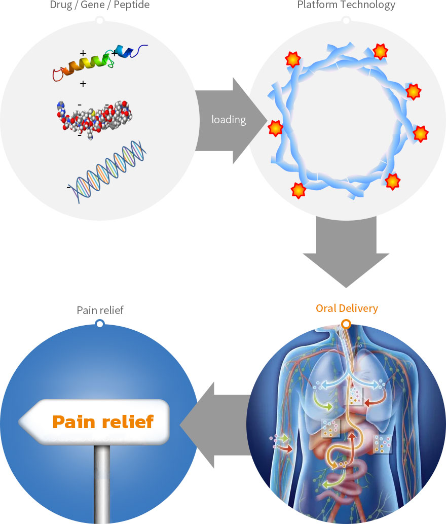 bio_content01_img