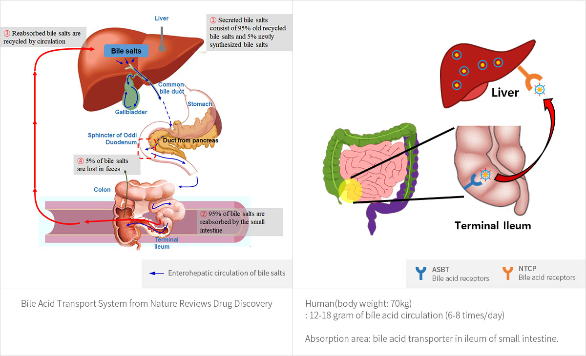 bio_content02_img